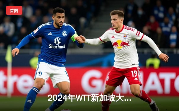 2024年WTT新加坡大满贯赛：王楚钦4-3险胜樊振东，夺男单冠军创个人纪录