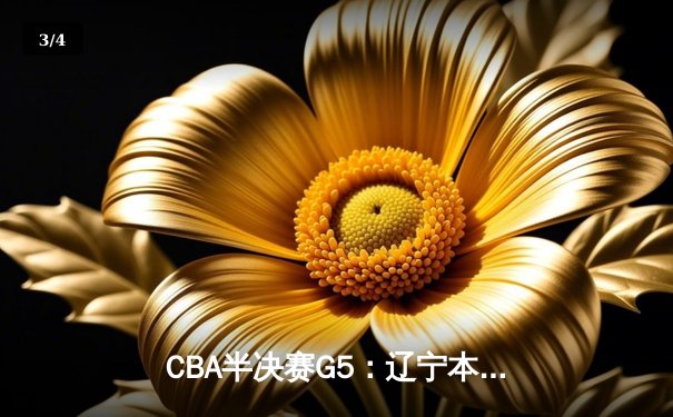 CBA半决赛G5：辽宁本钢加时逆转广东宏远 赵继伟33+9+6率队挺进总决赛 - 3